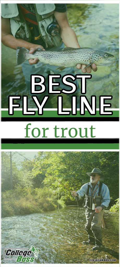 trout fly line