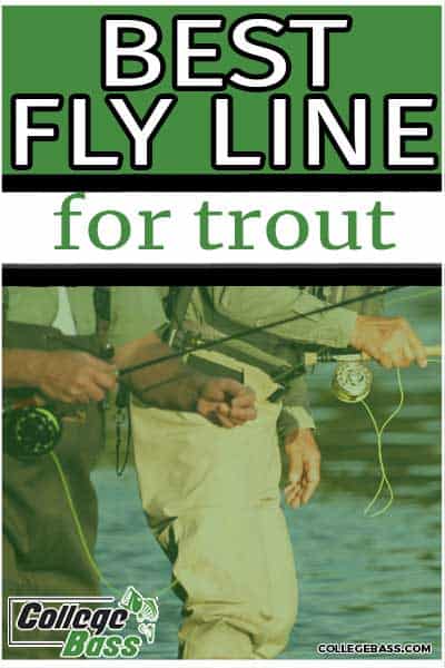 fly fishing best fly line