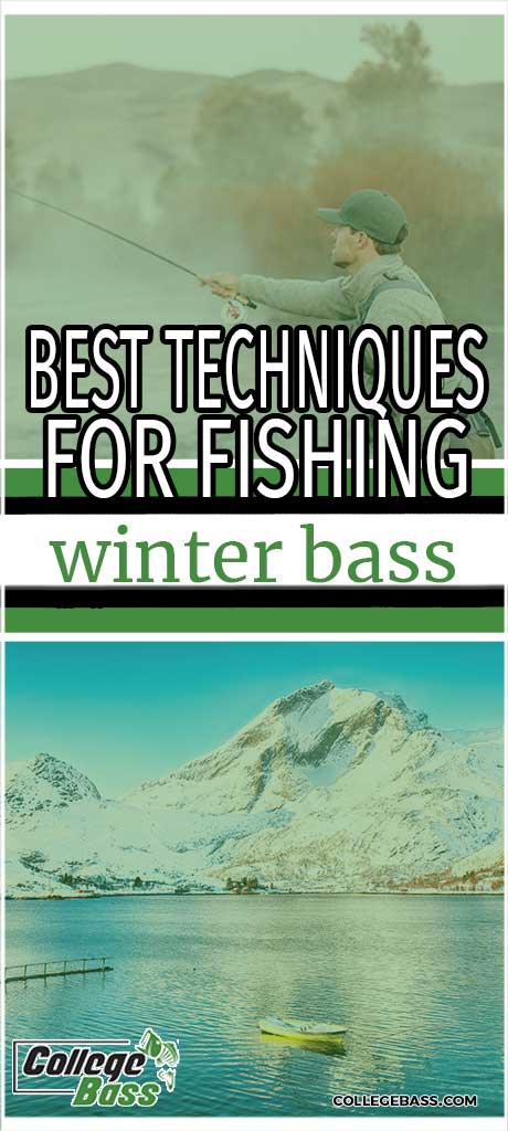 best technique for fishing winter bass