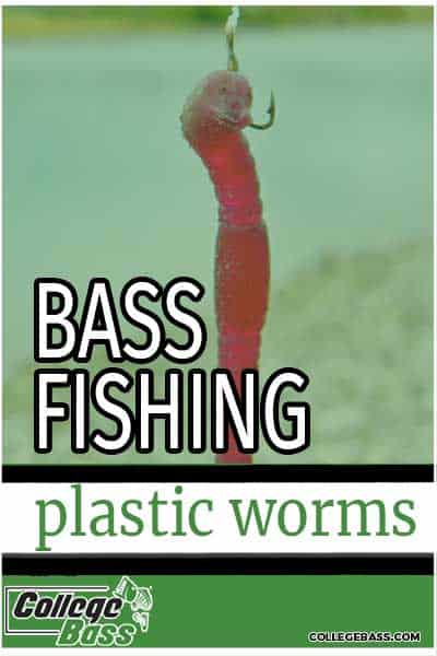 download best big worms for bass