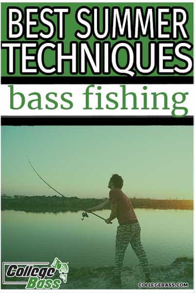 best summer techniques bass fishing