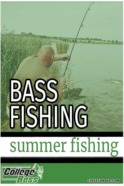 bass fishing summer fishing